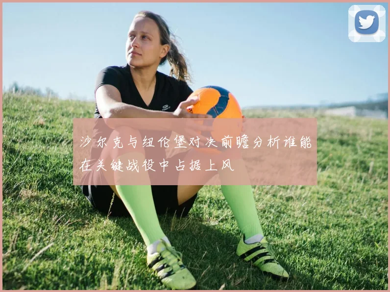 沙尔克与纽伦堡对决前瞻分析谁能在关键战役中占据上风