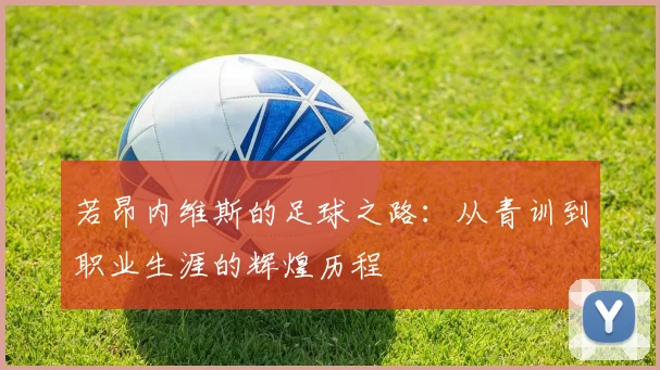 若昂内维斯的足球之路：从青训到职业生涯的辉煌历程