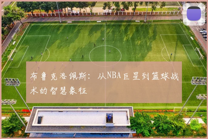 布鲁克洛佩斯：从NBA巨星到篮球战术的智慧象征