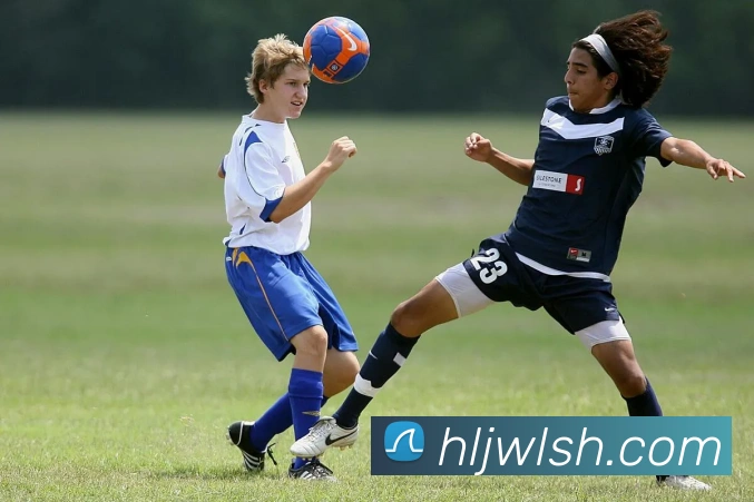 bevictor伟德平台生态图